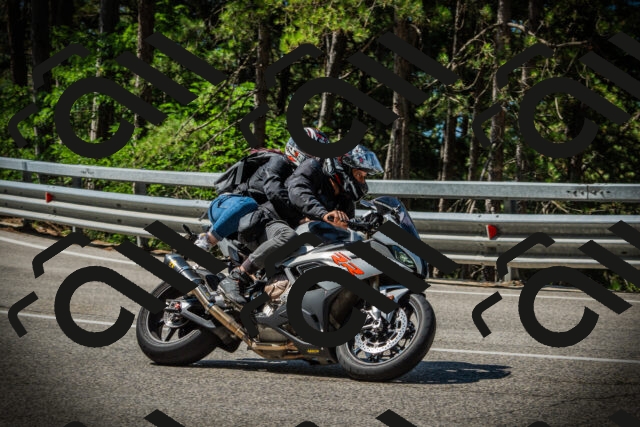 202507201053-DSC05338_c1_