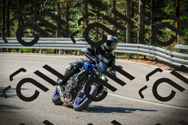 202507201053-DSC05345_c1_