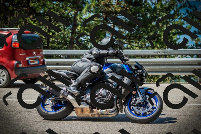 202507201053-DSC05346_c1_