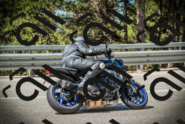 202507201053-DSC05347_c1_