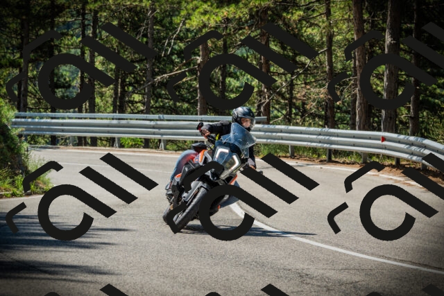 202507201054-DSC05362_c1_