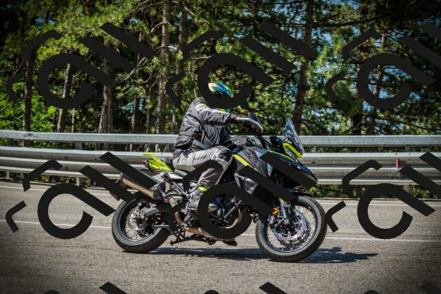 202507201055-DSC05387_c1_