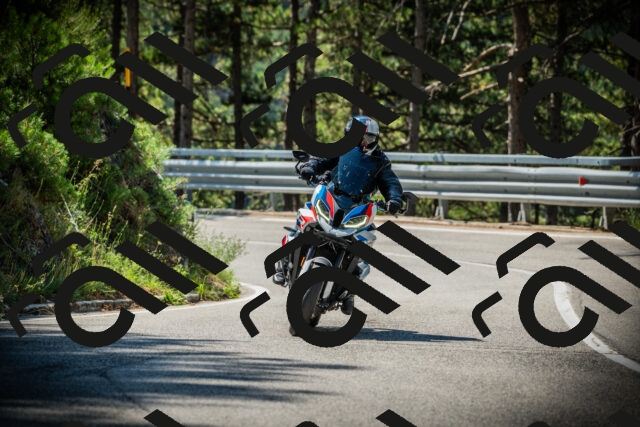 202507201055-DSC05391_c1_