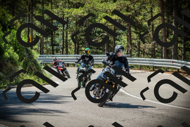 202507201055-DSC05398_c1_