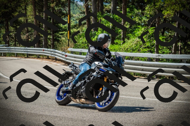 202507201055-DSC05399_c1_