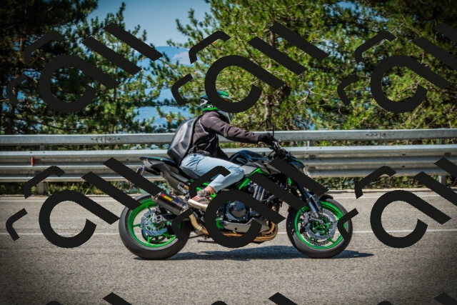 202507201055-DSC05401_c1_