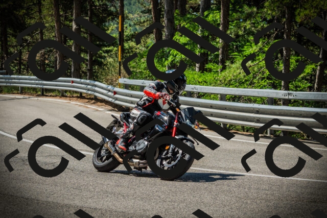 202507201055-DSC05410_c1_