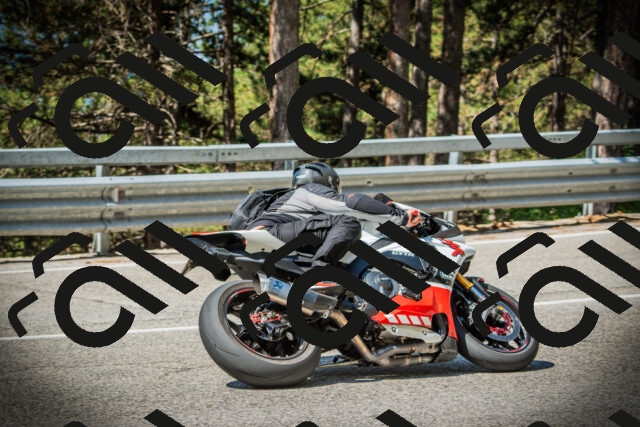 202507201056-DSC05439_c1_