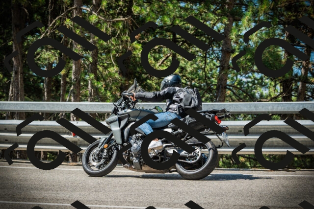 202507201057-DSC05449_c1_