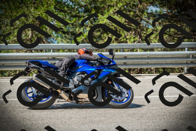 202507201058-DSC05455_c1_