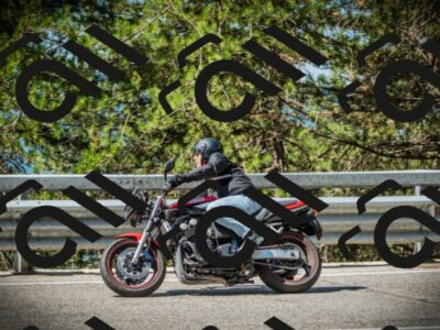 202507201100-DSC05486_c1_