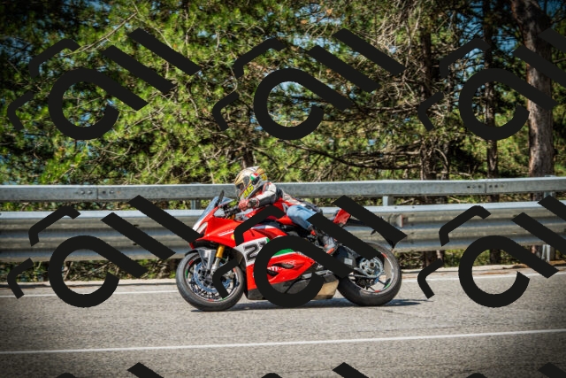 202507201100-DSC05501_c1_