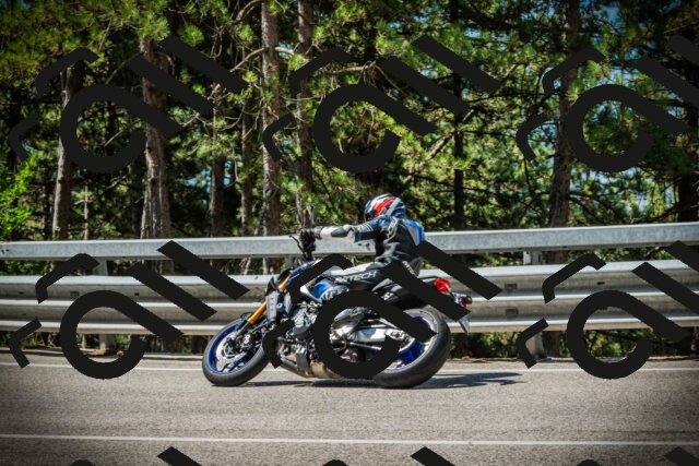 202507201100-DSC05515_c1_