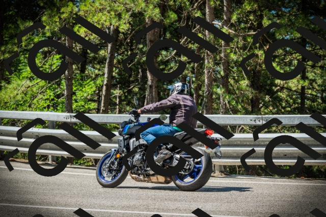 202507201101-DSC05524_c1_