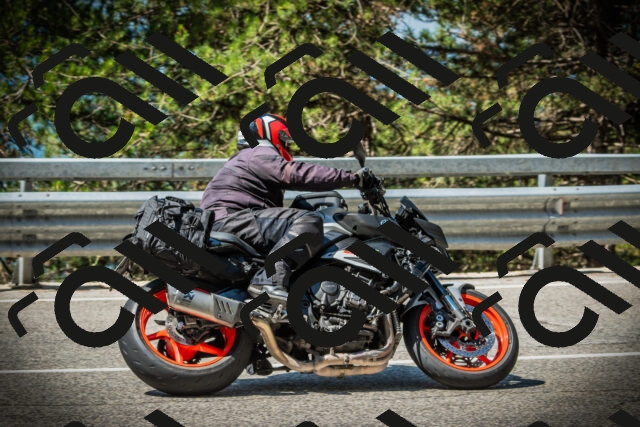 202507201102-DSC05562_c1_