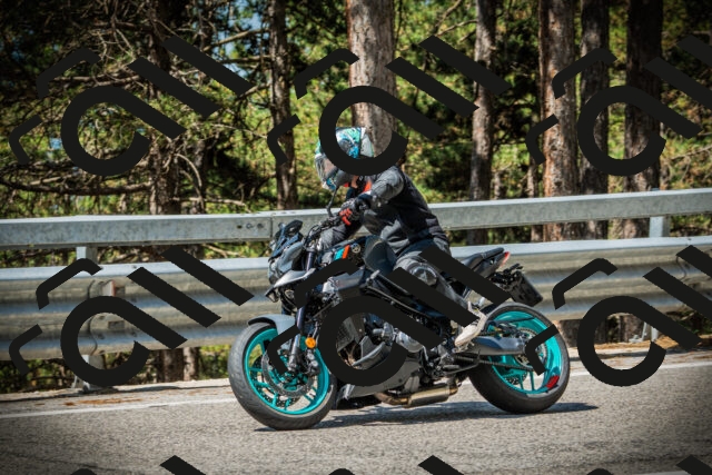 202507201102-DSC05565_c1_