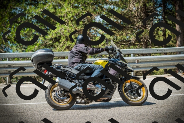 202507201103-DSC05583_c1_