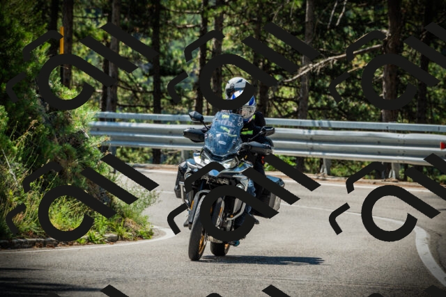 202507201103-DSC05584_c1_