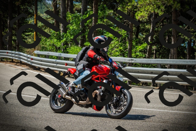 202507201104-DSC05599_c1_