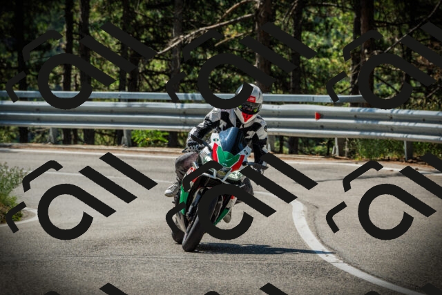 202507201104-DSC05603_c1_