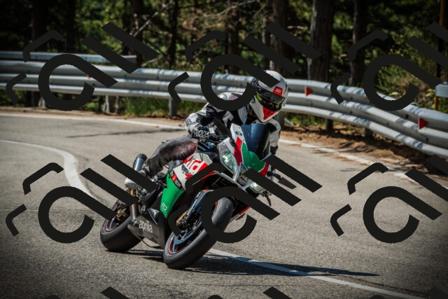 202507201104-DSC05604_c1_