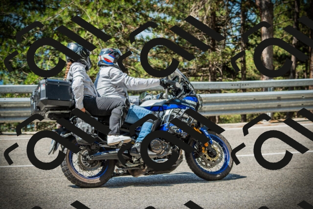 202507201104-DSC05618_c1_