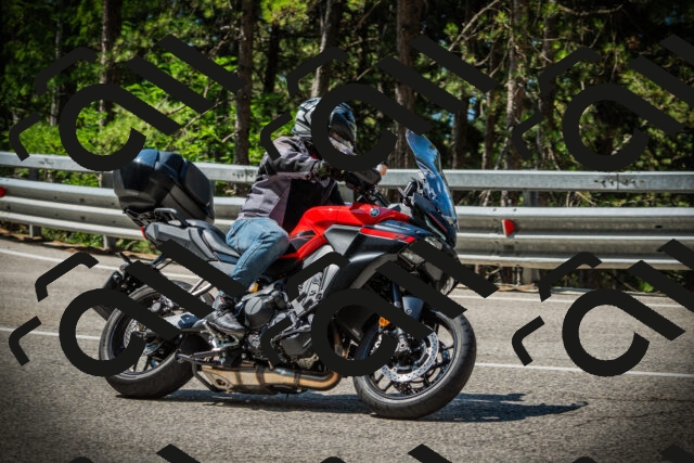 202507201105-DSC05621_c1_