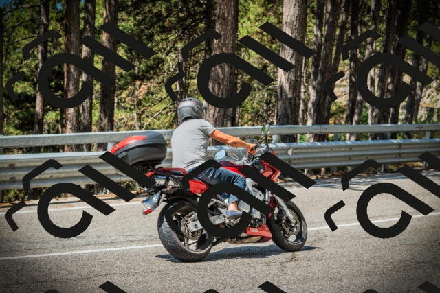 202507201105-DSC05627_c1_