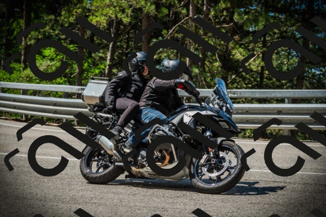 202507201105-DSC05634_c1_