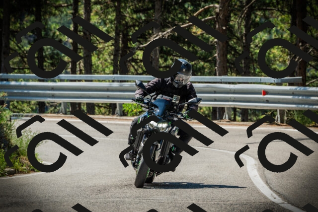 202507201105-DSC05638_c1_