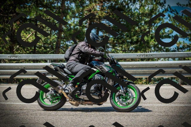 202507201105-DSC05641_c1_