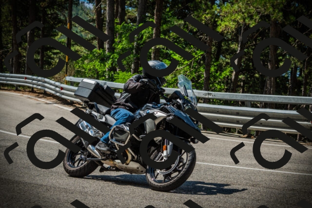 202507201105-DSC05650_c1_