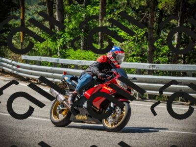 202507201105-DSC05658_c1_