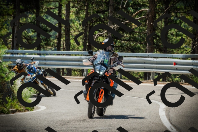 202507201111-DSC05744_c1_