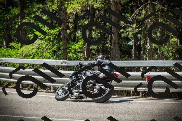 202507201112-DSC05771_c1_