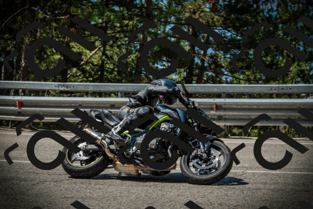 202507201113-DSC05776_c1_