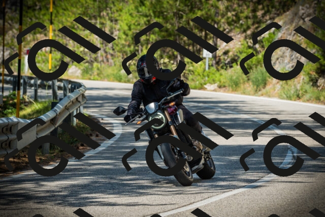 202507201114-DSC05788_c1_