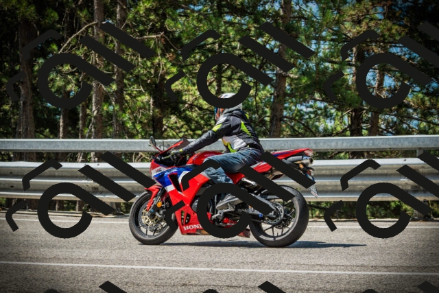 202507201114-DSC05811_c1_