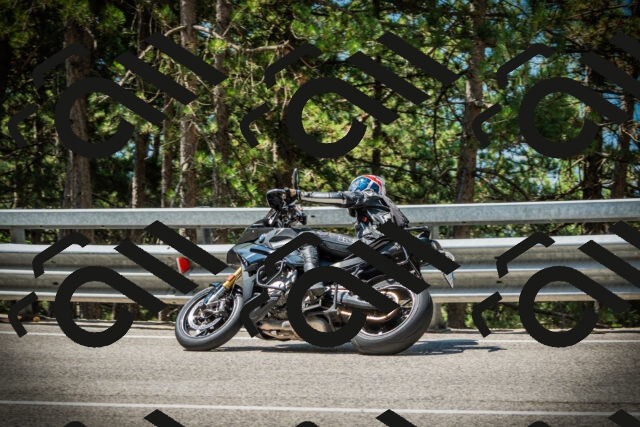 202507201115-DSC05819_c1_