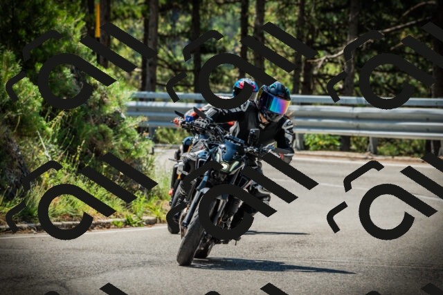 202507201115-DSC05823_c1_