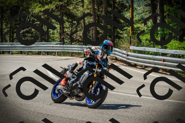 202507201115-DSC05825_c1_