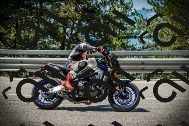 202507201115-DSC05826_c1_