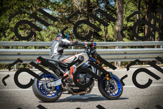 202507201115-DSC05827_c1_