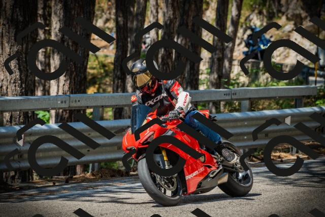 202507201116-DSC05838_c1_