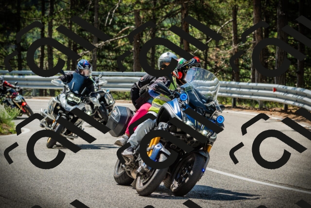 202507201117-DSC05867_c1_