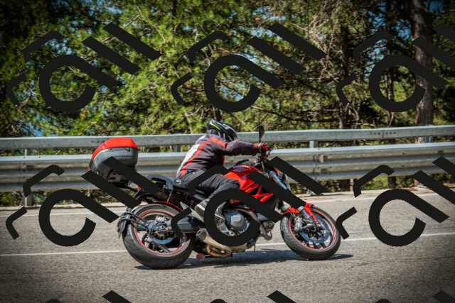 202507201117-DSC05875_c1_