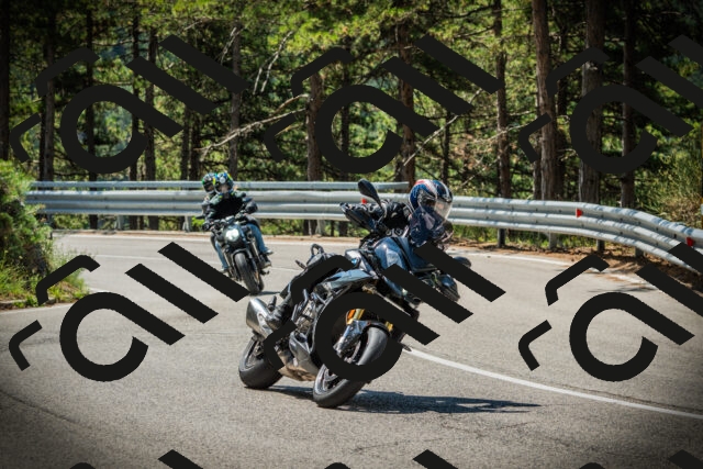 202507201117-DSC05876_c1_