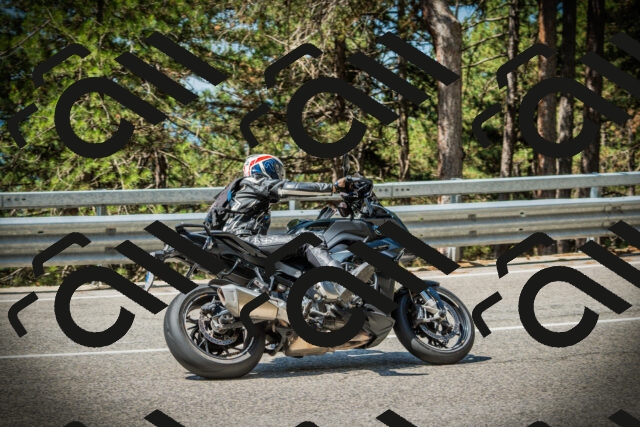 202507201117-DSC05878_c1_