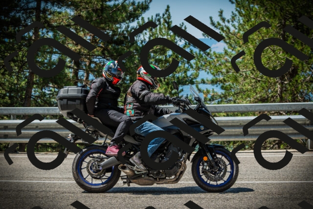 202507201118-DSC05917_c1_