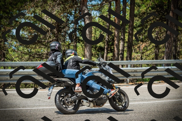 202507201120-DSC06009_c1_